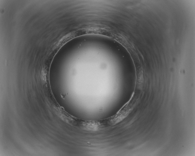 X0000086270282200703291443