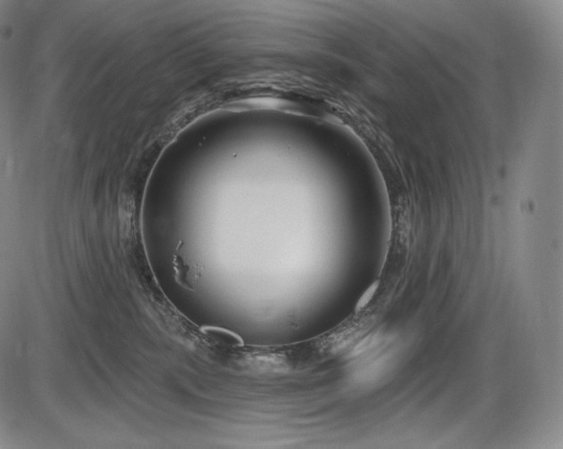 X0000086270283200703291443