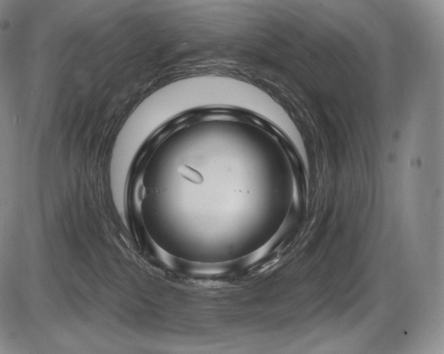 X0000086270284200703291443