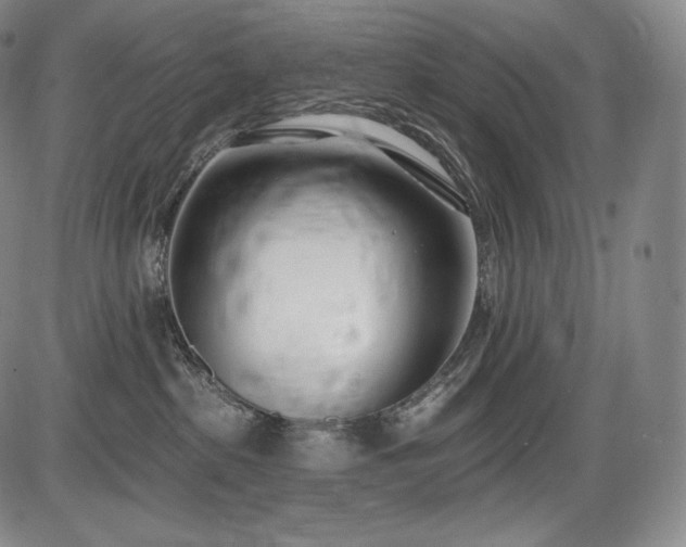 X0000086270285200703291443