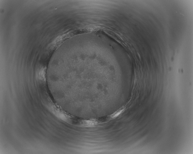 X0000086270286200703291443