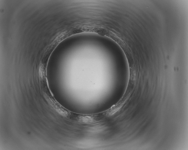 X0000086270287200703291443