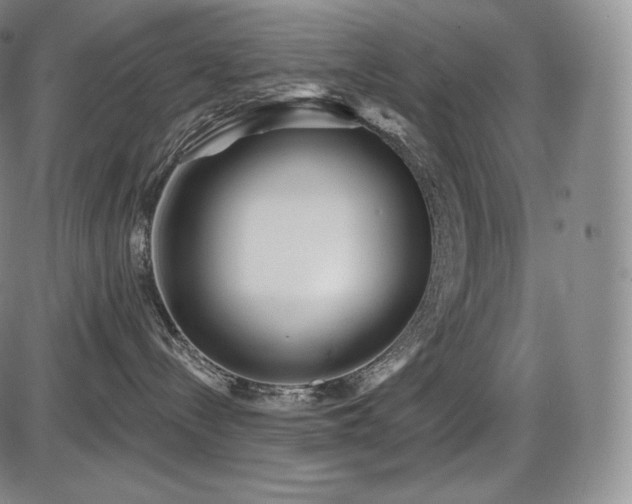 X0000086270288200703291443