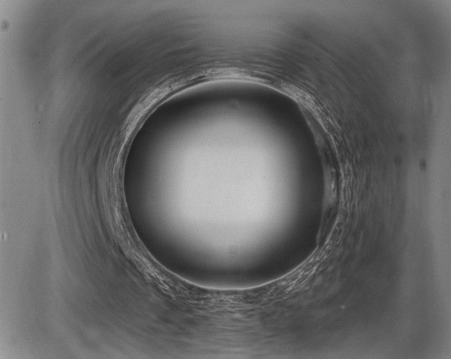 X0000086270289200703291443