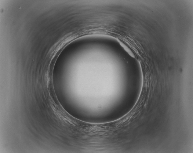 X0000086270290200703291443