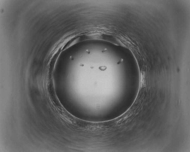 X0000086270291200703291443