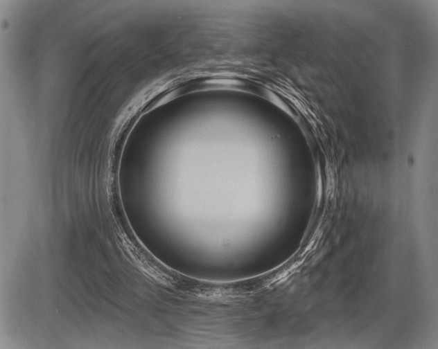 X0000086270293200703291442