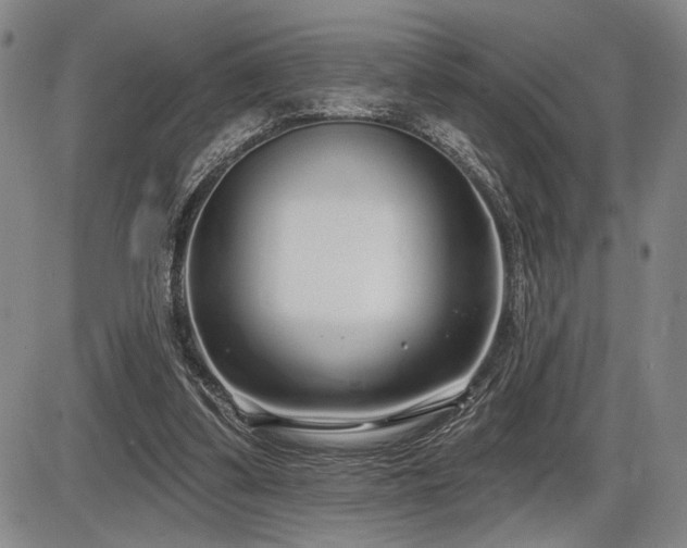 X0000086270299200703291442