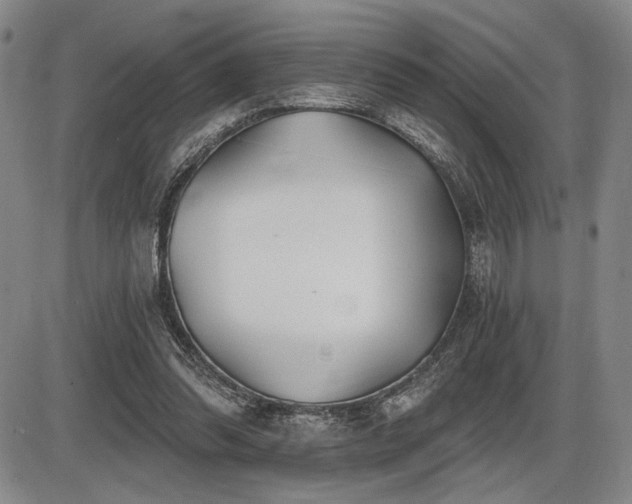 X0000086270302200703291442