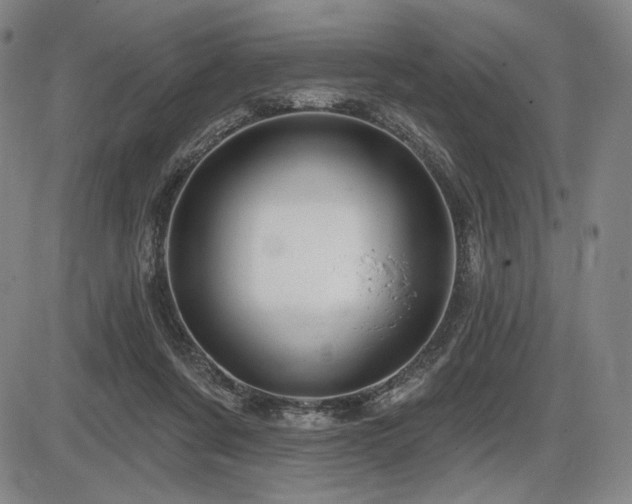 X0000086270311200703291442