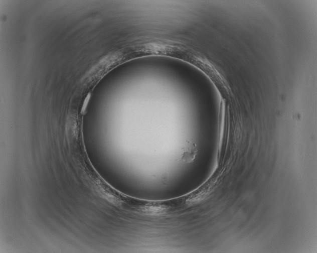 X0000086270313200703291442