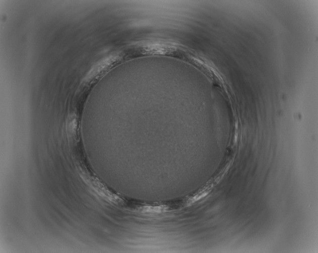 X0000086270314200703291442