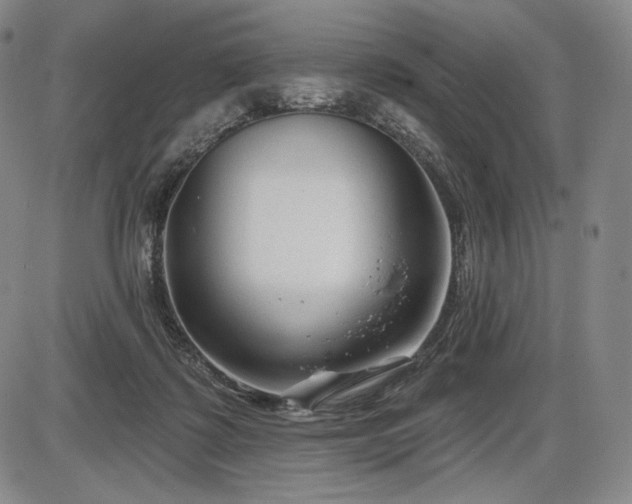 X0000086270315200703291442