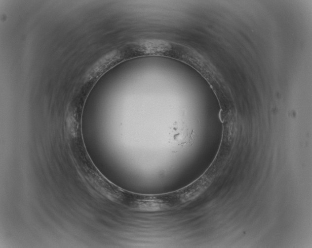 X0000086270316200703291442