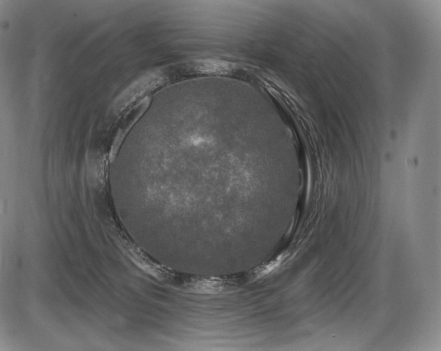 X0000086270325200703291442