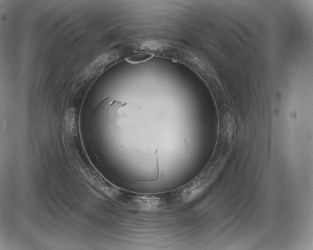 X0000086270328200703291442