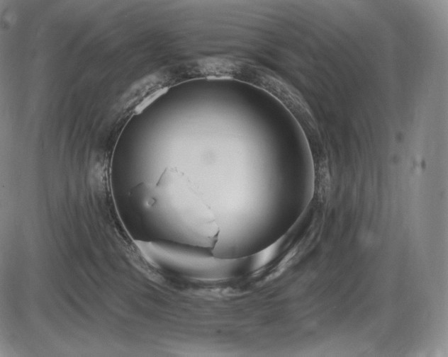 X0000086270329200703291442