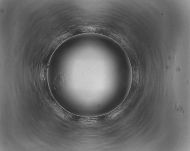 X0000086270331200703291442