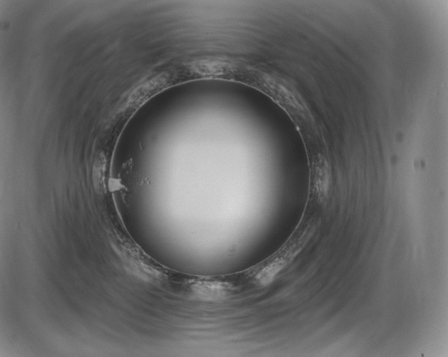 X0000086270332200703291442