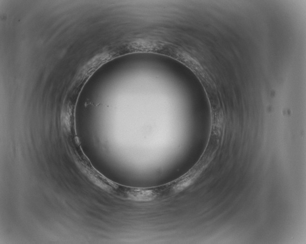 X0000086270334200703291442