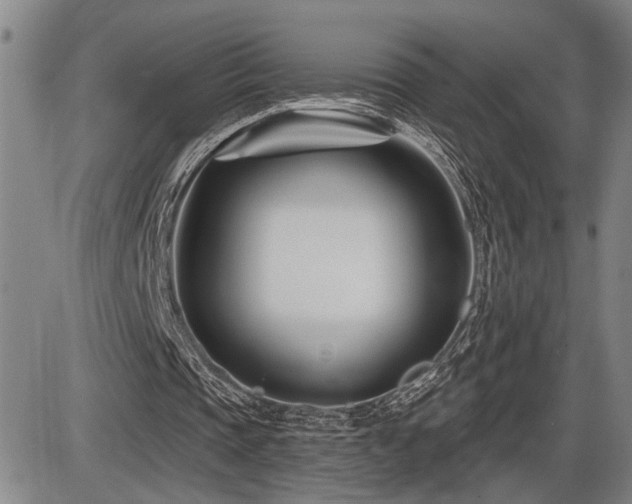 X0000086270337200703291441