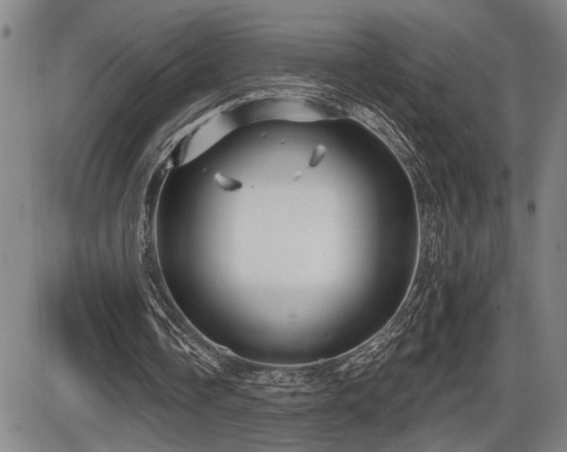X0000086270338200703291441