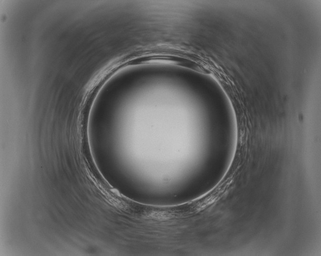 X0000086270341200703291441