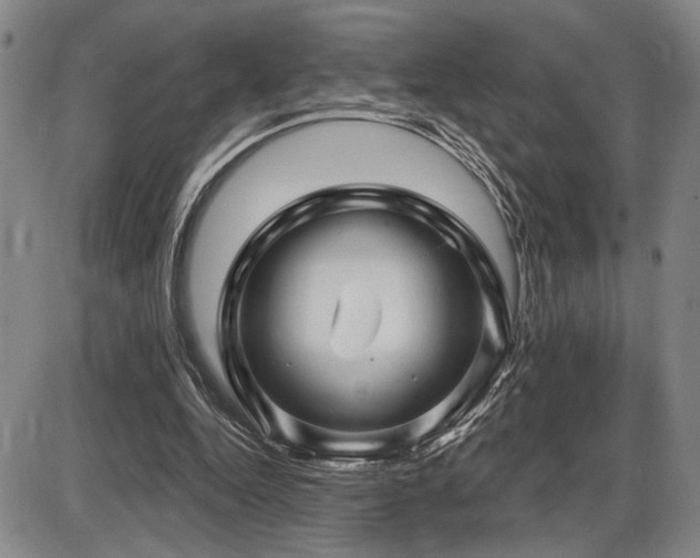 X0000086270344200703291441