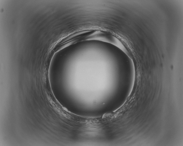 X0000086270345200703291441