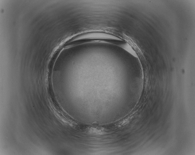 X0000086270346200703291441
