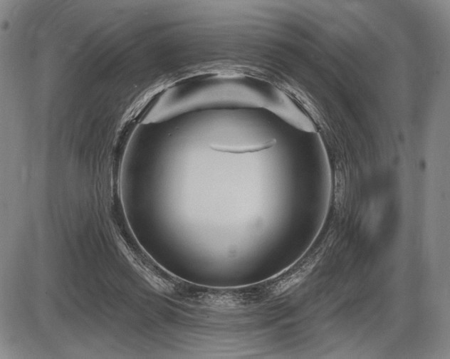 X0000086270349200703291441