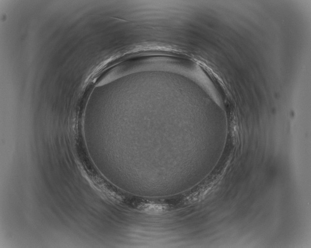 X0000086270352200703291441