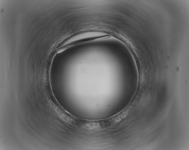 X0000086270353200703291441