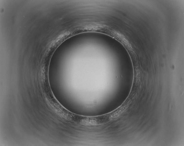 X0000086270354200703291441