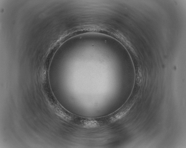 X0000086270355200703291441