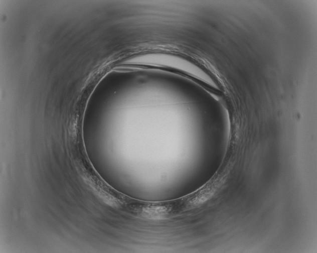 X0000086270357200703291441