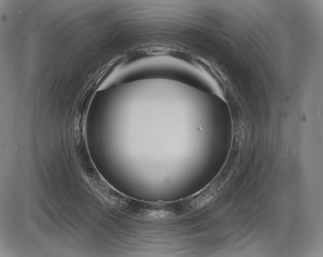 X0000086270360200703291441