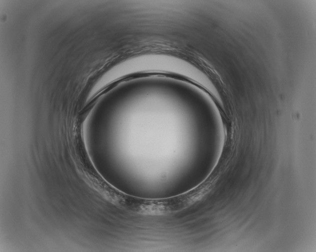 X0000086270362200703291441
