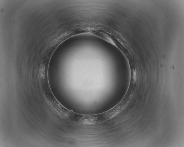 X0000086270368200703291441