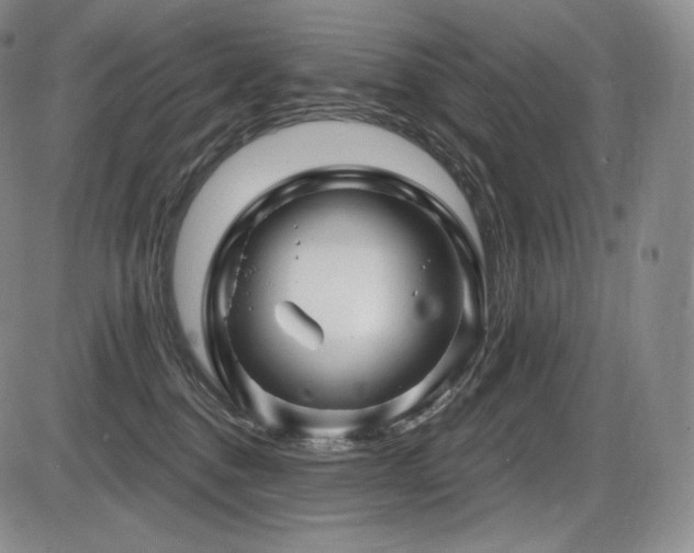 X0000086270376200703291442