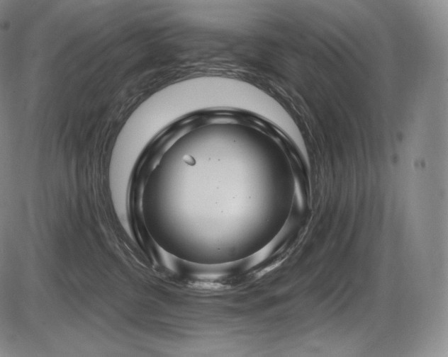 X0000086270380200703291442