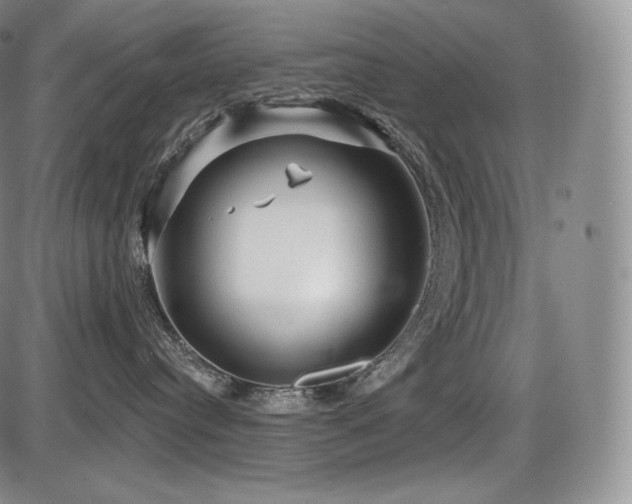 X0000086270384200703291442