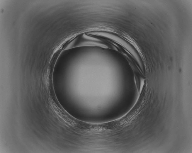 X0000086270387200703291441