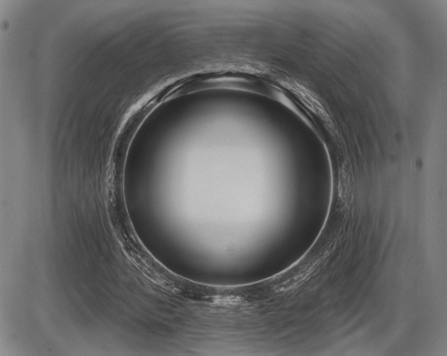 X0000086270388200703291441