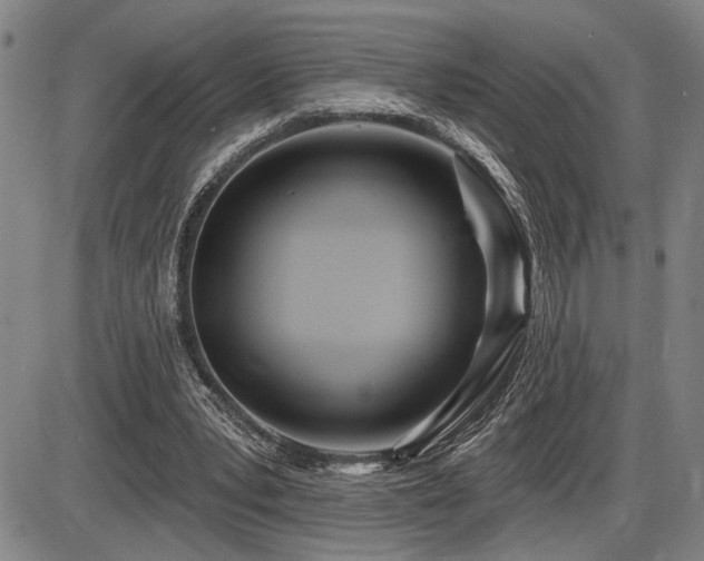 X0000086270391200703291441