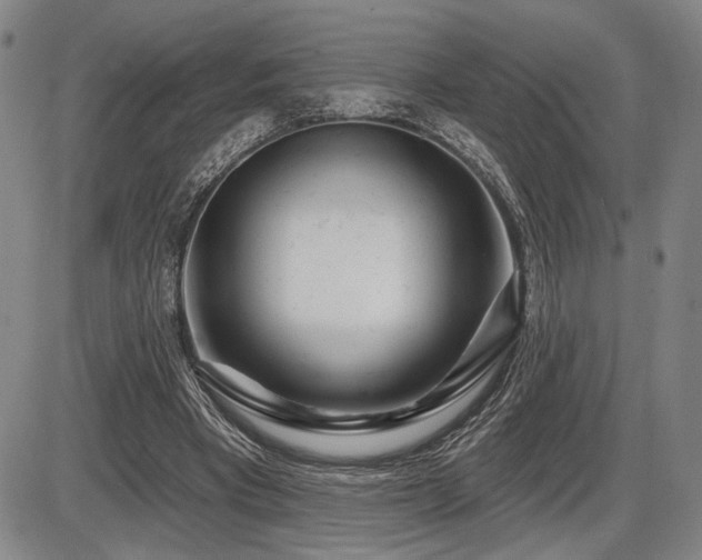 X0000086270393200703291441