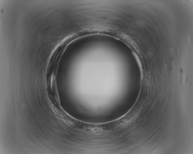 X0000086270395200703291441
