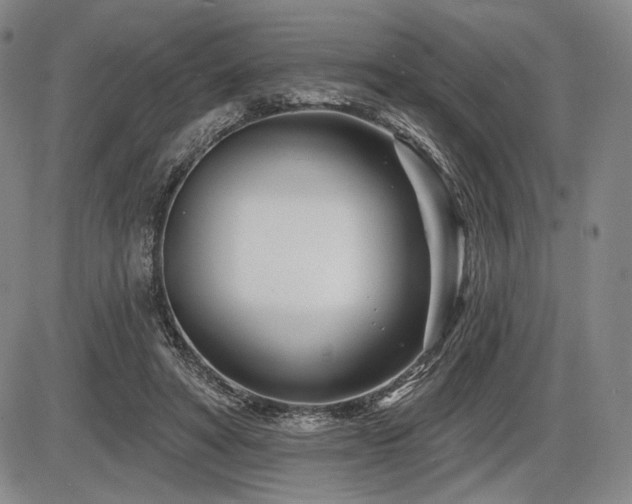 X0000086270402200703291441