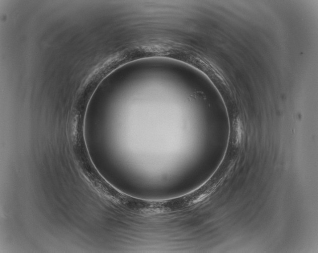 X0000086270404200703291441