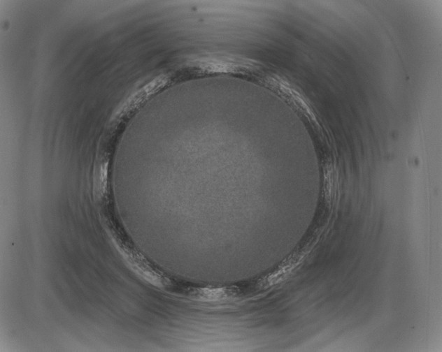 X0000086270406200703291441